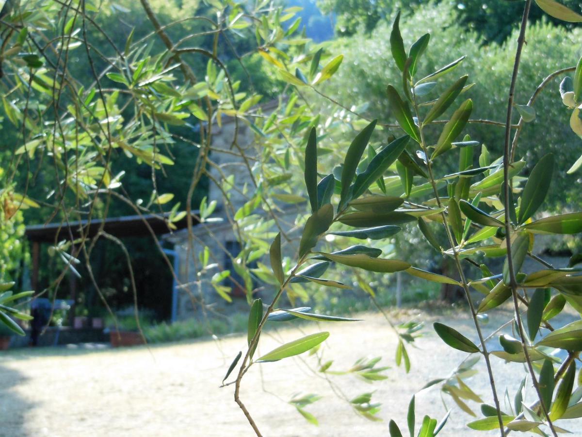 Villa La Fontaiola Le Piazze Exterior foto