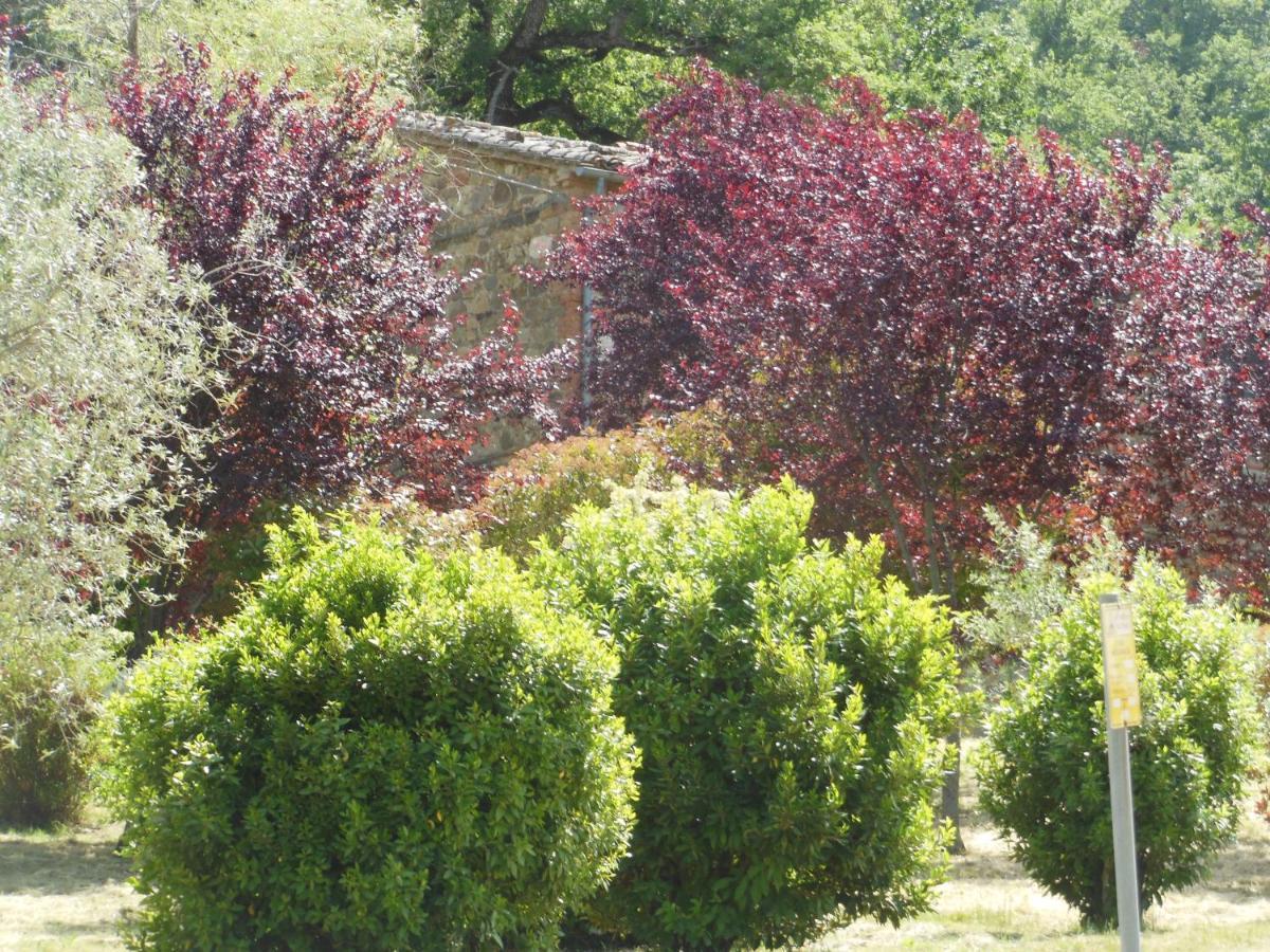 Villa La Fontaiola Le Piazze Exterior foto